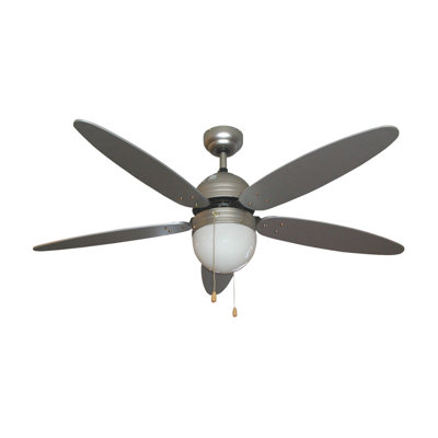 Ceiling Fan Modern