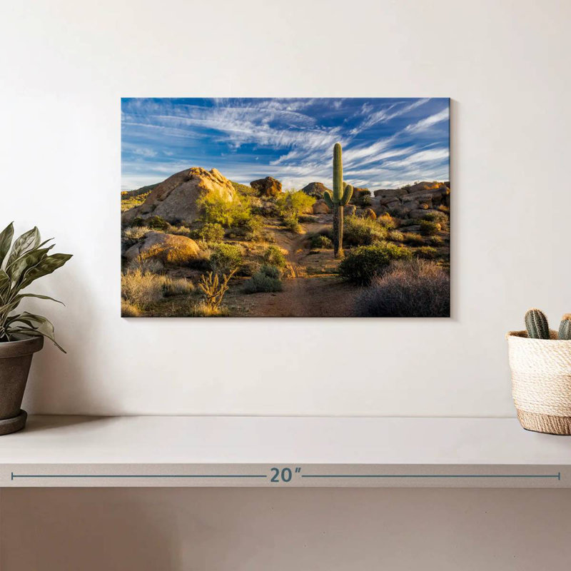 Alvord Saguaro, cactus et roches, H 8 po x l 12 po