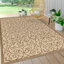 Tapis oriental beige / brun Haggerty-311083037