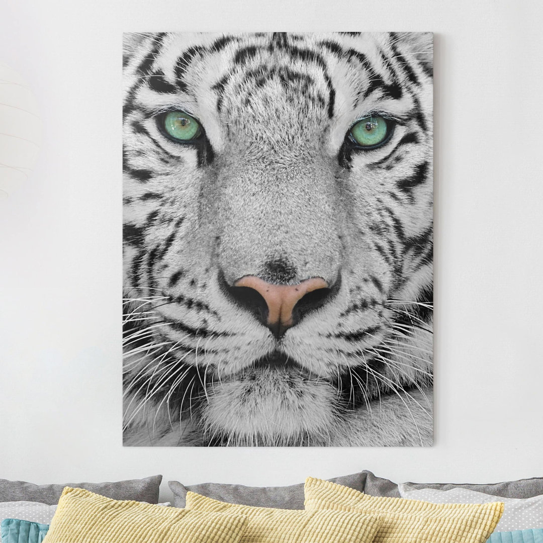 Leinwandbild White Tiger