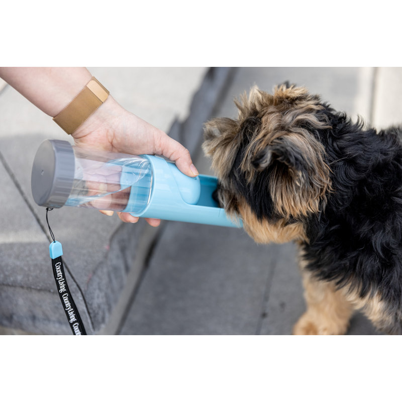 Automatic Feeder