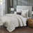 Vincent Collection Queen Comforter Set in Grey-1838477199-1838477200