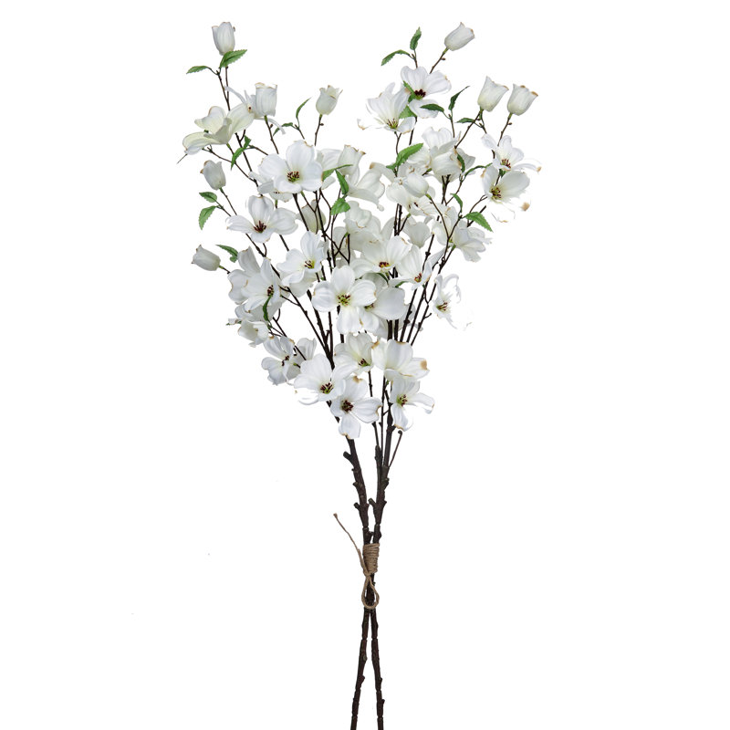 Southern Dogwood Bundle, White