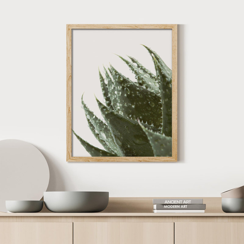 «Green Cactus Succulent Raindrop Water Droplet» sur papier, H 10 po x l 8 po, Naturel