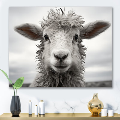 Mouton sérénité - animaux, art mural, salon