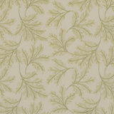 Ashmore Chelsea Fern Fabric