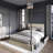 Zahiya Upholstered Metal Storage Canopy Bed-2131505598