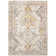 Jamieson Oriental Indoor Rug