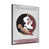 Florida State Seminoles