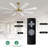 Delontae 60'' Ceiling Fan with LED Lights-781141500