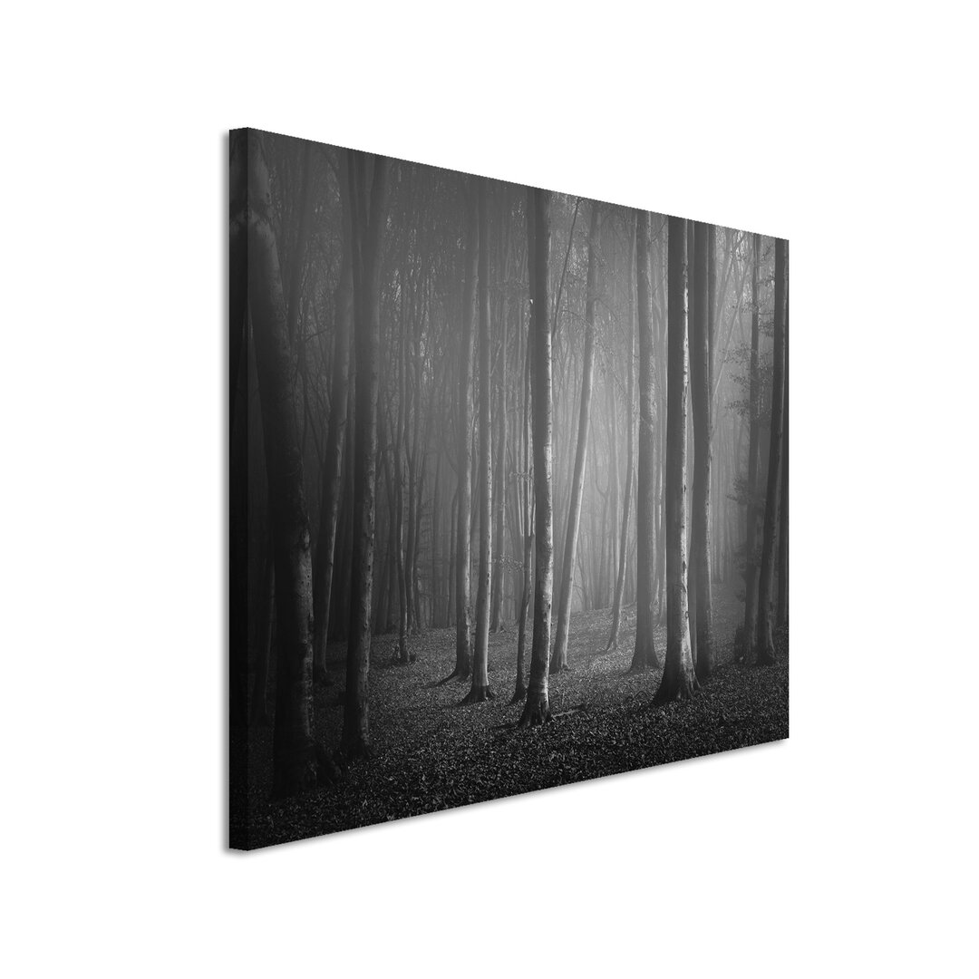 Leinwandbild „Wald im Nebel“, Fotodruck