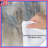 Barn Owls In Grass Comforter-125325583