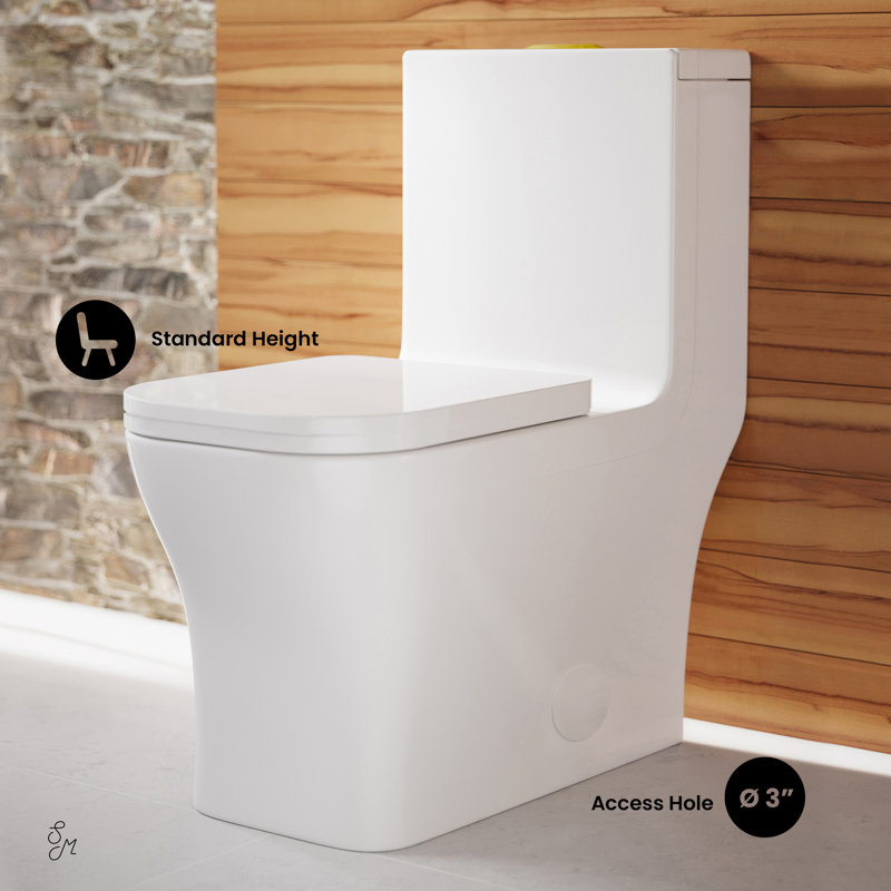 Concorde White One Piece Dual Flush Toilet with Brushed Gold Hardware