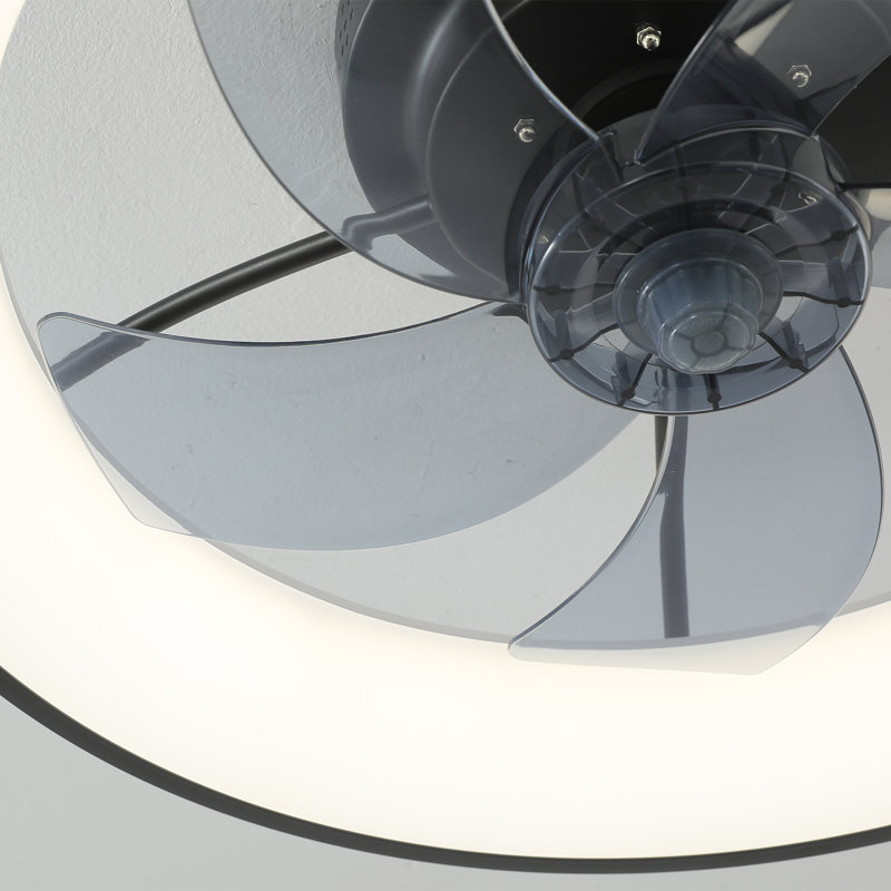Ventilateur de plafond à 20 pales à DEL à 20 pales avec lumière incluse Way Day, Noir