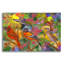 «Song Birds Collage» par Tim Jeffs, art mural acrylique-1036452044