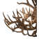 Rustic Lodge 8 - Light Chandelier