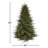 Lighted Christmas Tree-101878238