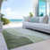 Chrisa Washable Abstract Indoor / Outdoor Rug