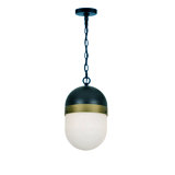 Capsule Brian Patrick Flynn 2-Light Outdoor Pendant