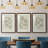 " Soft Shape I " 3 Piece Art Color Photography Painting-868064691-868064652