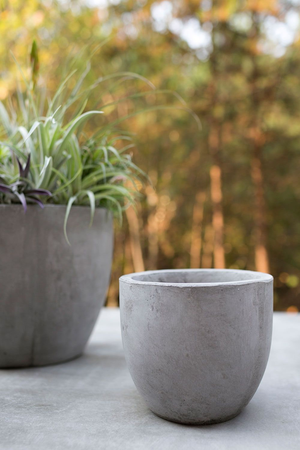 Trixie Pot Planter, 5.5" H x 6.5" W x 6.5" D