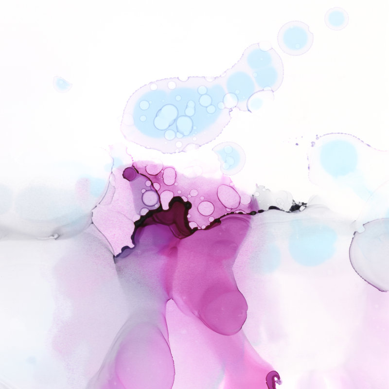 Fluid Magenta I by Ethan Harper - Wrapped Canvas Painting, 76cm H x 76cm W
