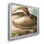 Trumpeter Swan - reproduction d'art sur toile-418566640-418566643