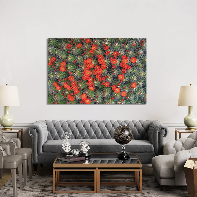 Claret Cup Cactus Detail Of Flowers In Bloom, North America I by Tim Fitzharris - Gallery-Wrapped Canvas Giclée on Canvas