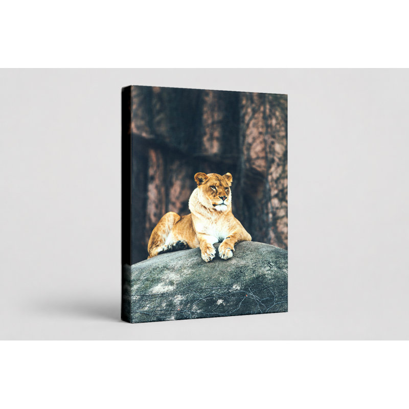 Lionne sur le rocher - Portrait, art mural sur toile, 20" W x 30" H