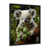 Encadrement doré