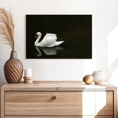 Brampt White Swan Elegance
