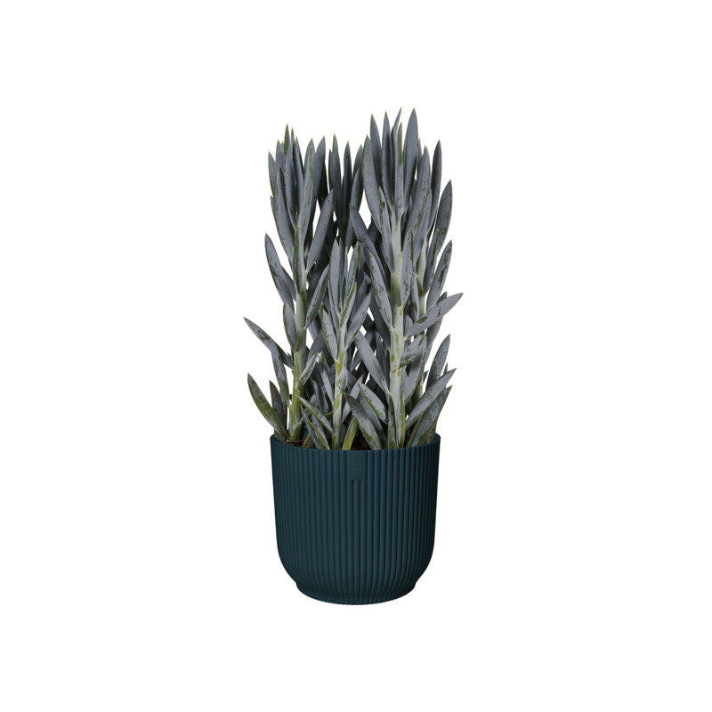 Pot Planter, 12.9cm H x 14.1cm W x 14.1cm D, Deep Blue