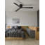 Ceiling Fan with LED Lights-72385286-72385291