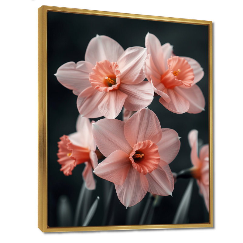 «Pink Black Ethereal Emblem Daffodils» - impression d'art mural jonquilles, H 30 po x l 40 po, Cadre flottant doré