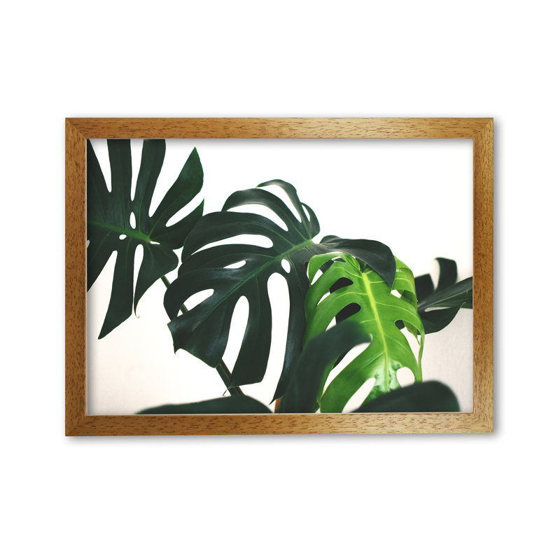 Monstera Leaf Landscape - Print, Honey Oak Frame, 30 cm H x 42 cm W x 5 cm D