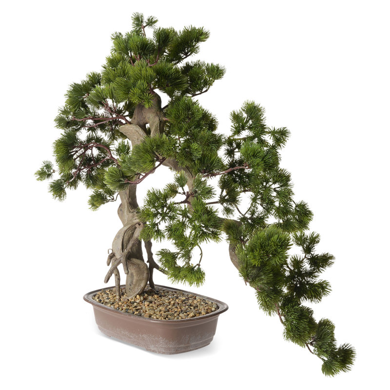 66cm Faux Bonsai Plant