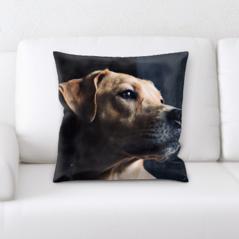 Coussin pour chien
