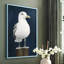 NAUTICAL Series CLIV - reproduction encadrée de qualité supérieure - prête à être accrochée - aucun clou requis-1115598541-1115598538
