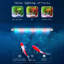 Aquarium 135-145 gallons-129168574-129168573