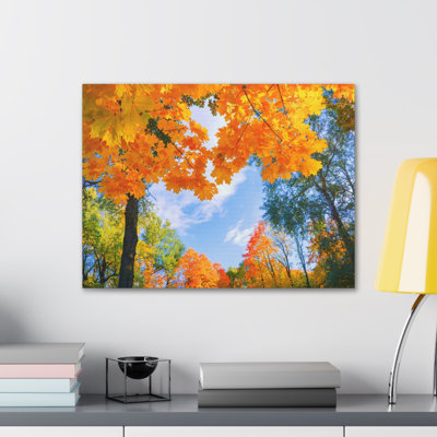 Arbre d'automne avec feuilles orange, cœur, nature, photographie sur toile
