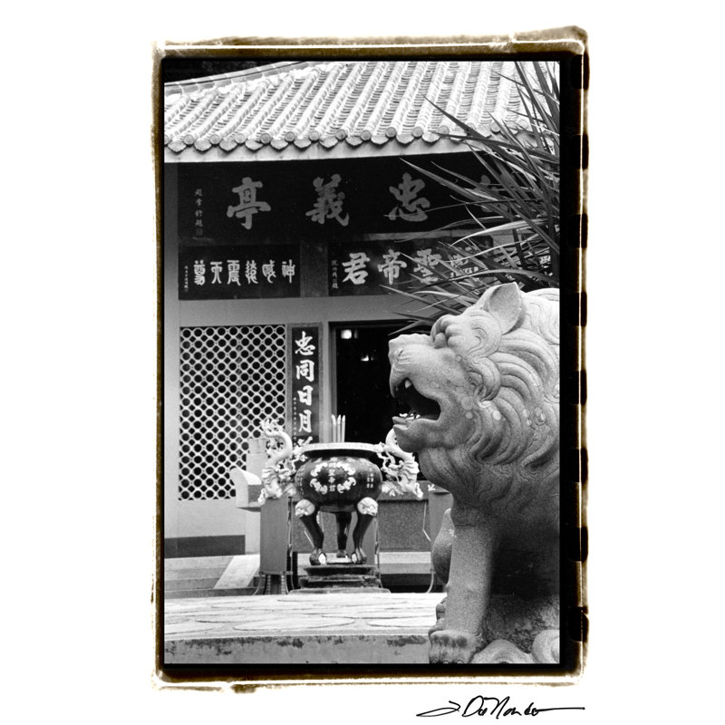 Regal by Laura DeNardo - 1 Piece Wrapped Canvas Wall Art, 30cm H x 20cm W