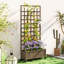 Raised Garden Bed