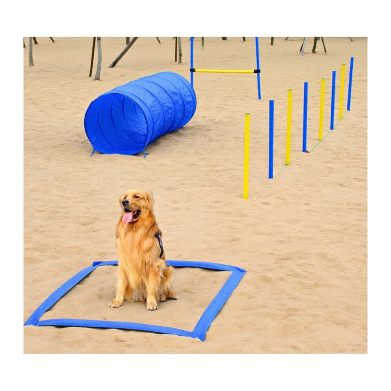 Polyester bleu pour chien
