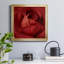 Sincere Red - Photographie de cadre photo sur toile-625189697-625189699