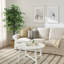Faux olivier 5 po-1567110030-1565942145