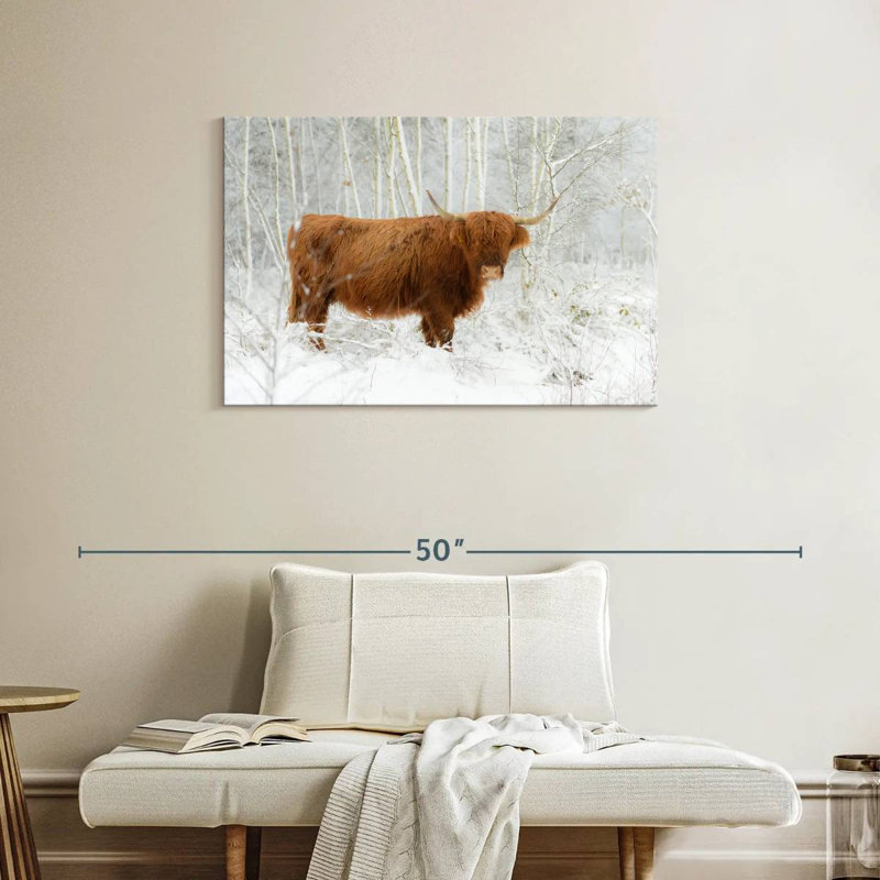 Brampt Winter Highland Cow, H 24 po x l 36 po