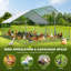 Denne Walk In Chicken Run-1107723288