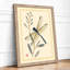 Dragonfly and Seedpod Japandi - Framed Print-1533005802-1533005812