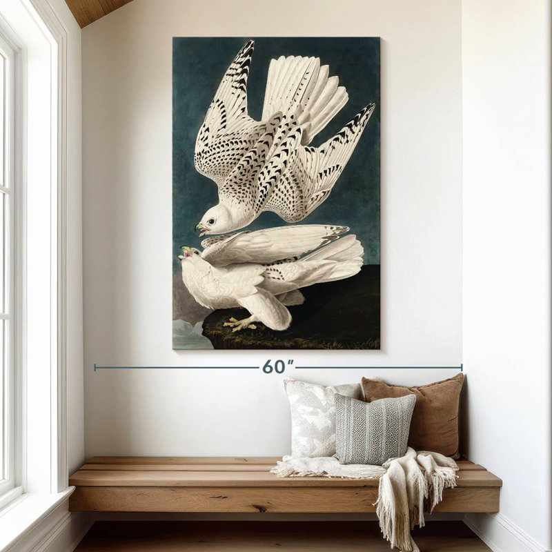 Brampt Iceland Or Jer Falcon, 51" H x 34" W