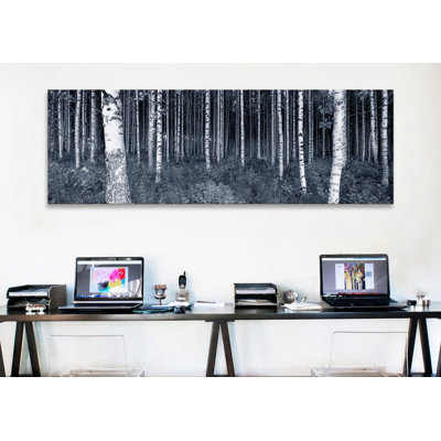 « Panoramic Birch Trees in a Forest, Finland », reproduction de photo sur toile